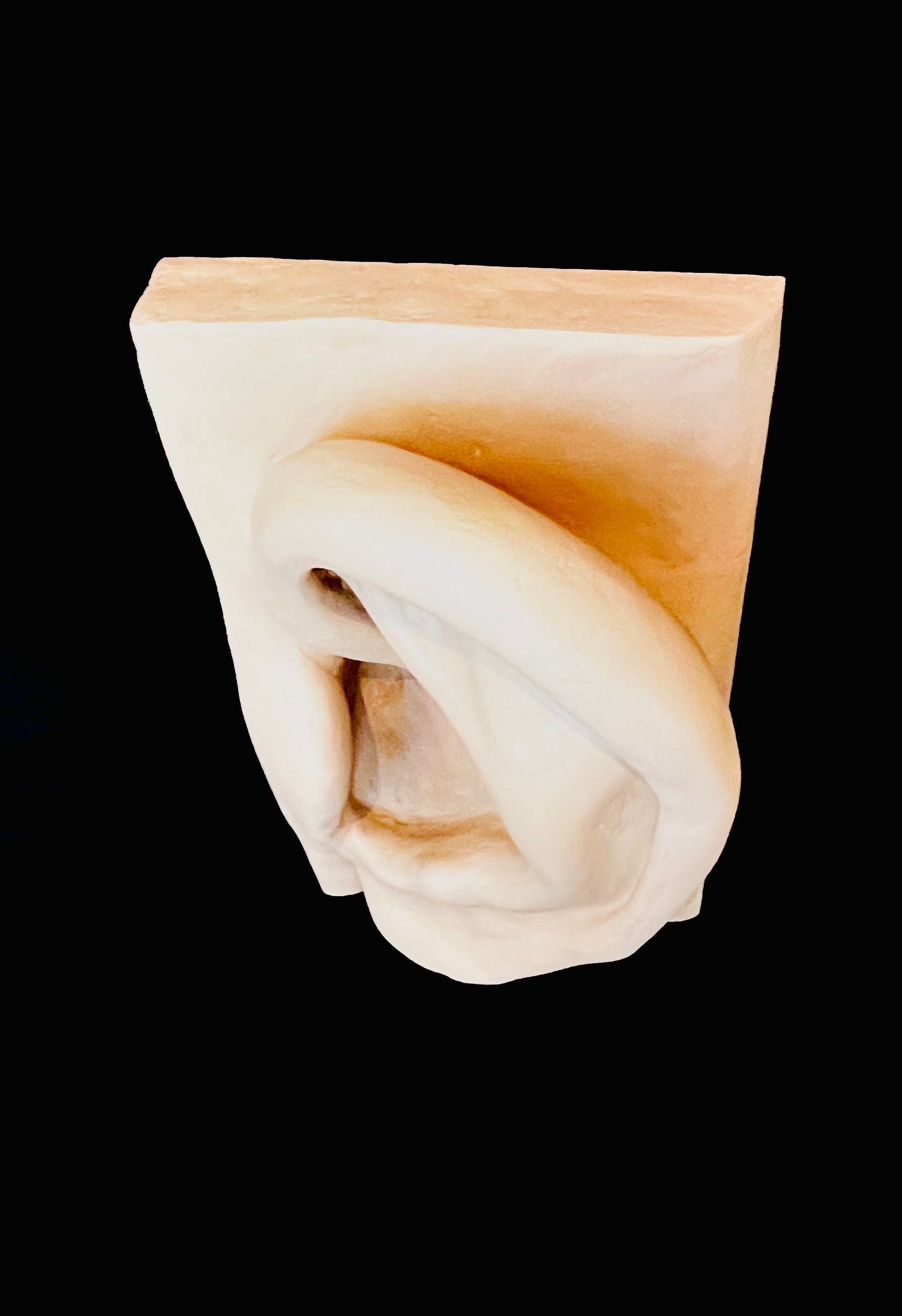 Menschliches Ohr Wandkunst / Anatomie / Einrichtung HNO Arzt / Ohrenarzt DEKO Figur Skulptur 50 cm x 27 cm x 18 cm